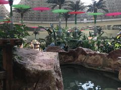 -青岛海泉湾度假区温泉