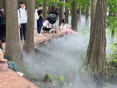 -东湖落雁景区