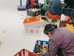 -山菌美食苑(振兴路店)