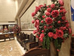 -陶然居·重庆菜(鱼洞老街店)