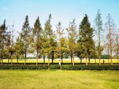 -嘉北郊野公园