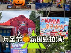 -南湖梦幻岛