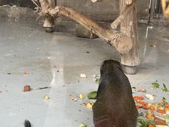 -太原动物园