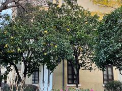 -南京中国近代史遗址博物馆(南京总统府)