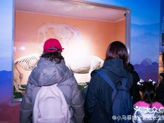 -中国大熊猫保护研究中心雅安碧峰峡基地