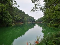 -缙云山景区
