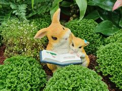 -石家庄市植物园