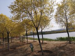 -永定河休闲森林公园