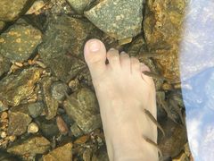 -广州市石门国家森林公园
