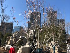 -西海子公园