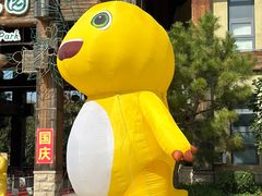 -南宫五洲植物乐园