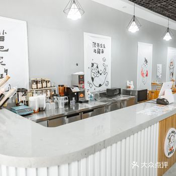 渭南万达广场，猫咪派对，网红猫咖店今日打卡成功
