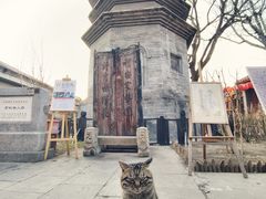-正阳书局(西四南大街店)