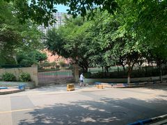 -柴务处·柴犬主题狗咖