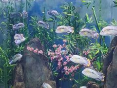 -常州海昌海洋探索馆