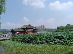 -济南大明湖景区