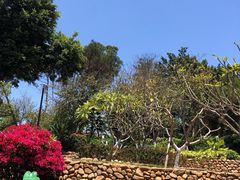 -仙岳公园
