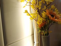 -MUSANG KING猫山王(龙湖杭州滨江天街店)