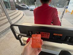 -圣爵菲斯大酒店(长沙世界之窗店)