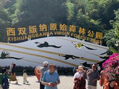 -西双版纳原始森林公园