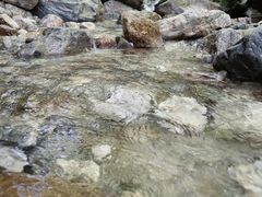 -牛背梁国家森林公园