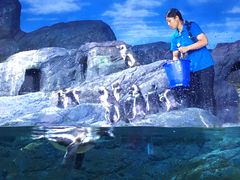 -暹罗海洋世界