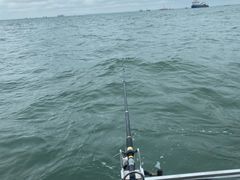 -鑫艋游艇海钓俱乐部