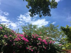 -Lam Vien Restaurant