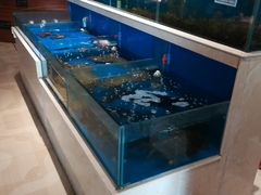 水产区-姜君·千岛湖鱼头馆(浦东大道店)