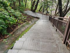 -龙泉洞(沙坪坝区)
