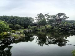 -顺峰山公园