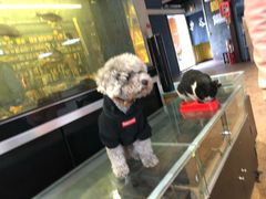 -酷鱼垂钓CLUB(朝阳区博大路店 )