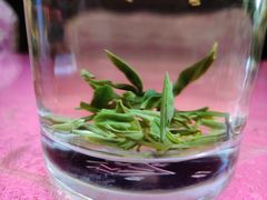 -国生茶庄·地道农家菜团建活动