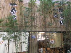 -柴务处·柴犬主题狗咖