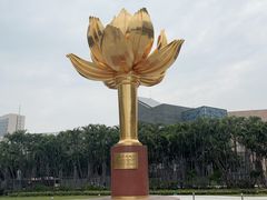 -金莲花广场