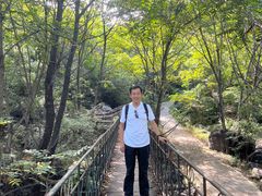 -云岫谷自然风景区