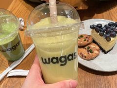 -Wagas沃歌斯(汇智店)