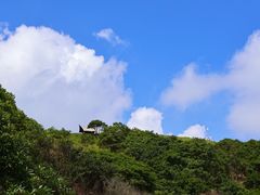 -大姆山草场