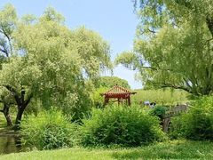 -上海共青森林公园