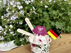 -EIS ENGELCHEN艾斯辛尔
