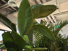 -新贝乐意大利餐厅(苏州中心店)