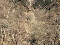 -泰山风景名胜区