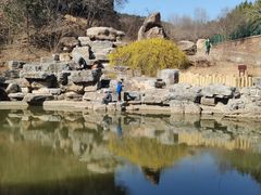 -北京西山国家森林公园