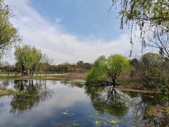 -梁鸿国家湿地公园