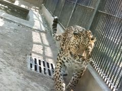 -石家庄市动物园