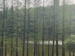 -三水森林公园