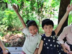 -溱湖国家湿地公园