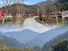 -南丹山森林王国