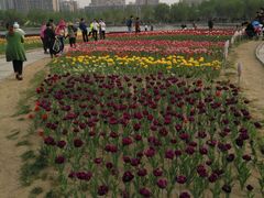 -廊坊文化艺术中心