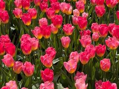 -长春公园(普阳街道)